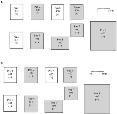 Host vs. pathogen evolutionary arms race: Effects of exposure history on individual response to a genetically diverse pathogen